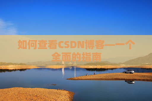 如何查看CSDN博客—一个全面的指南